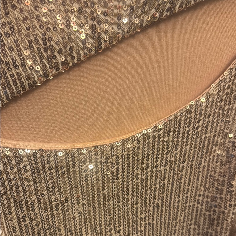 Sequin Embellished Dress